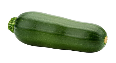 Isolated summer zucchini squash is a popular garden vegetable for healthy food recipes.