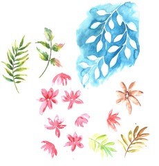  Abstract watercolour Multicolor beautiful seamless pattern set of flowers and leaves 