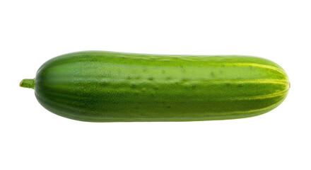 Isolated green cucumber fresh vegetable for salad ingredient cooking, healthy eating diet
