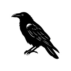 Fototapeta premium Striking black crow silhouette perched elegantly, symbolizing mystery and intelligence, perfect for your next creative project.