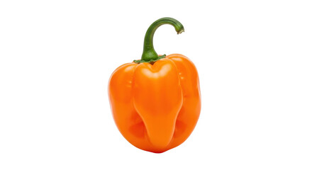 Isolated orange habanero pepper, a hot chili pepper used as a spice ingredient in cooking