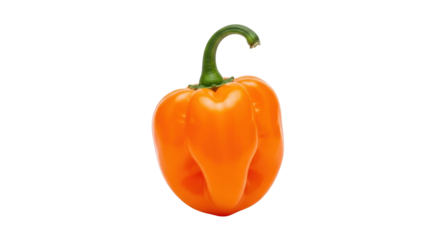 Isolated orange habanero pepper, a hot chili pepper used as a spice ingredient in cooking