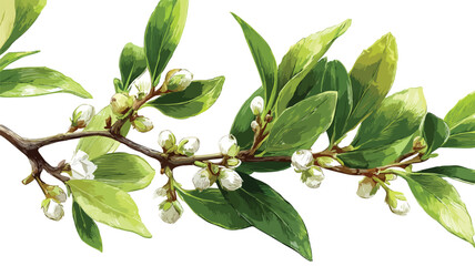 Tea Tree Plants Closeup View Highlights Delicacy in Professional Usage