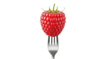 Isolated juicy red raspberry on a fork close up ready to be eaten in a dessert creation