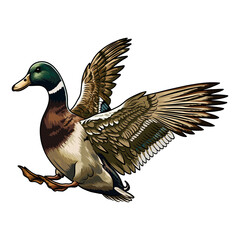 mallard duck hunting illustration logo vector image t shirt