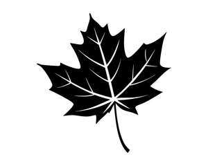 autumn maple leaves set silhouette vector illustration