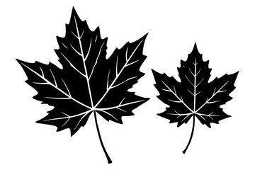 autumn maple leaves set silhouette vector illustration