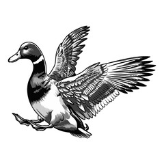 mallard duck hunting illustration logo vector image t shirt