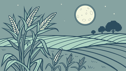 Vector illustration of night moon  over a cornfield filled with ripening corn ears.