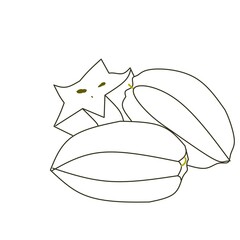 vector illustration of a star fruit