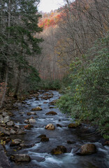 Obraz premium Scenic mountain stream panorama captured in fall with vibrant foliage and gentle rapids