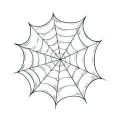 Elegant spider web design for Halloween decorations or crafts. Vector hand drawn illustration