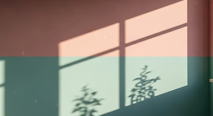 Abstract Minimalist Room Interior with Sunlight and Shadow Plant Silhouette