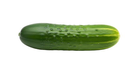 Isolated fresh green cucumber on a plain backdrop in close up, side view of healthy food