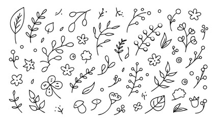 Doodle simple elements. Cute line leaves, branches, wildflowers, mushrooms, acorns, vines. Vector sketch hand drawn set