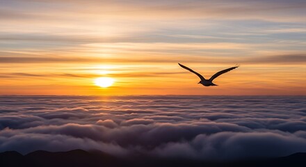 Bird flying above clouds at golden hour sunset serene landscape