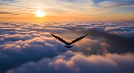 Bird flying over clouds at sunrise Freedom concept Inspiration dream