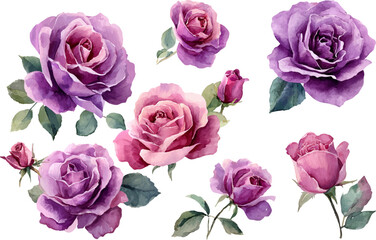 Fototapeta premium bouquet of roses