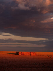 Hay bales resting on a stubble field at sunset