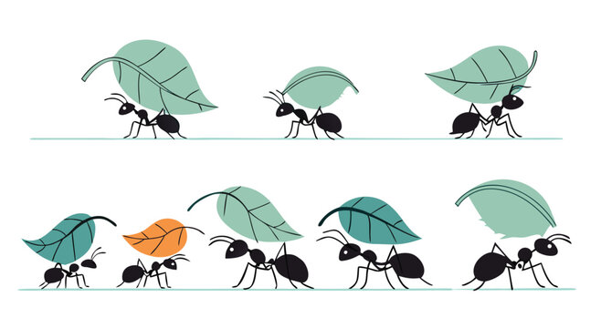 A line of ants carrying leaves across a white background.

