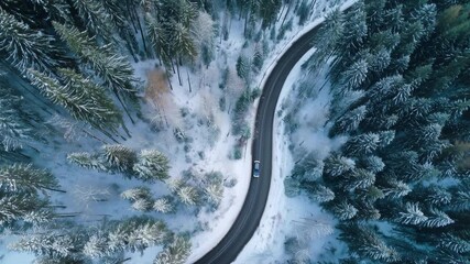 Amazing aerial top down view of a car driving on a serpentine mountain road through a beautiful snowy pine forest landscape, showing a serene winter travel and transportation concept