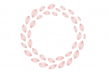 Cherry blossom petals forming a circular frame, delicate pink flowers creating a beautiful decorative border on transparent background