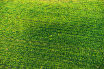 Aerial photograph of large arable areas