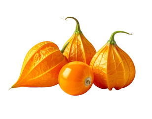 Group of orange gourds against a transparent background for design