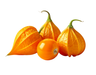 Group of orange gourds against a transparent background for design