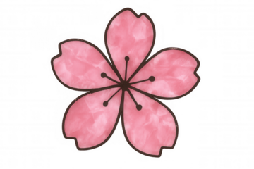 Cherry blossom flower illustration with pink petals and watercolor texture. Element for design, spring, nature, and japan themes