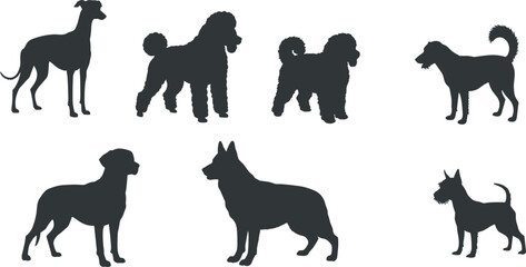 Silhouettes of seven dog breeds, black vector illustration, pet animal shapes, canine diversity, breed identification, isolated graphic for stock design