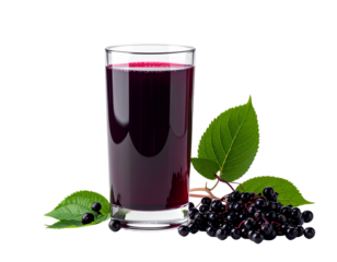 Refreshing glass of dark juice with green leaves and berries illustration