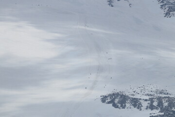 Obraz premium A chain of climbers ascending Mount Elbrus from a height of 4,100 m.