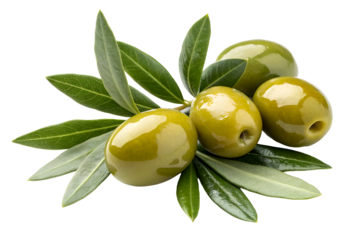 Group of Green Olives with Leaves on White Background