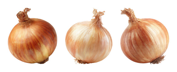 Ripe golden onion variety displayed with natural light and detail, perfect for culinary or design projects as a PNG set with transparent background