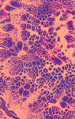 Bright bubbled abstract seamless texture in pink violet tones in liquid pouring style. Luxury contemporary art gentle fluid acrylic texture for apparel, bedding, package, home decor.