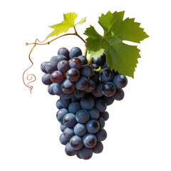 Fototapeta premium Fresh grapes with leaves isolated on transparent background