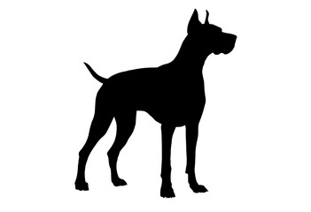 a black silhouette of a large dog standing on a transparent backgroundbeagle, black, doberman, dog, profile, stand 
