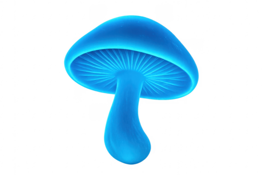 Blue glowing mushroom creating fantasy magic atmosphere
