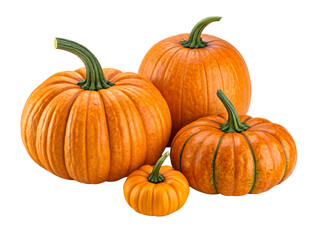 Group of four orange pumpkins with green stems