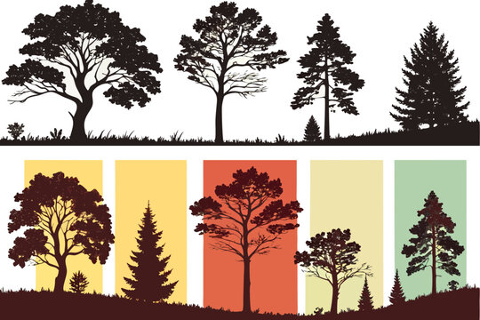 Different types of trees vector illustration, silhouette of trees, nature, forest, woodland, evergreen trees