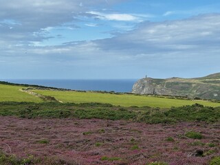 Port Erin from above