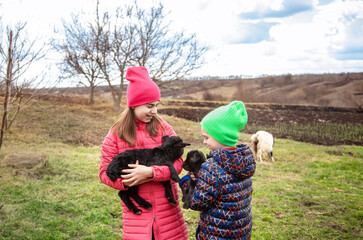 Joyful boy and smiling girl holding black goats on the farm. Rural lifestyle, childhood and animal care in the countryside. Happy childhood.