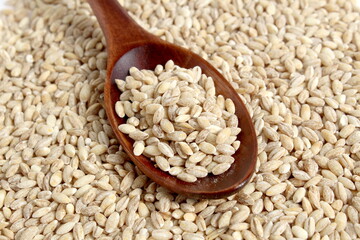 The texture of the pearl barley lies in an even layer with a wooden spoon on top.	