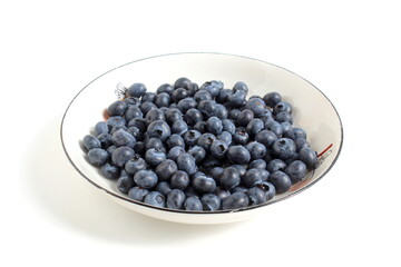  There is a plate with blueberries on a white background.