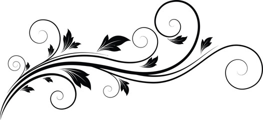 Fototapeta premium Decorative Swirl Vine with Leaves Element in Black Color on White Background