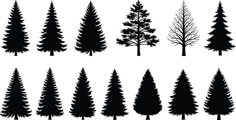Obraz premium Tree silhouette collection featuring coniferous and leafless varieties for botanical, seasonal, forestry, and nature-themed vector illustration design