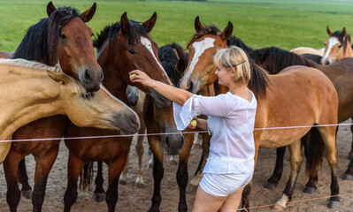 Young girl interacting with a group of horses in a lush green field, showcasing a bond between humans and animals in a serene rural landscape