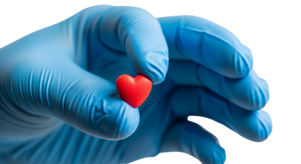 A loving concept of giving and caring, a person is holding a red heart symbol in their hands for romance and health