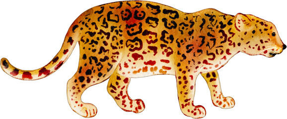 watercolor jaguar © Je